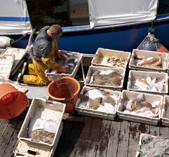 Port de pêche